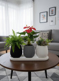 3D Printed Fluted Succulent Planter Trio | Nordic Style PLA Pots with Drainage Tray
