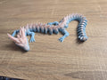 Articulated 3D Printed Baby Dragon Toy | Flexi Winged Dragon Figurine